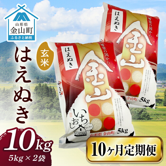 令和6年産《定期便》 金山産米 はえぬき【玄米】（5kg×2袋）×10ヶ月計100kg 定期便 10ヶ月 米 お米 ご飯 玄米 ブランド米 送料無料 東北 山形 金山町 F4B-0530