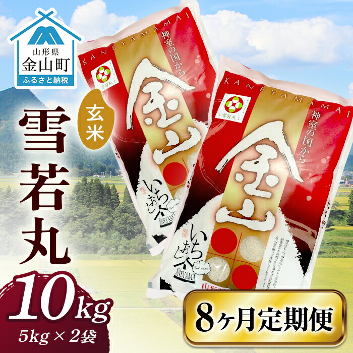 令和6年産 金山産米 雪若丸【玄米】（5kg×2袋）×8ヶ月 定期便 計80kg 8ヶ月 米 お米 ご飯 玄米 ブランド米 送料無料 東北 山形 金山町 F4B-0547