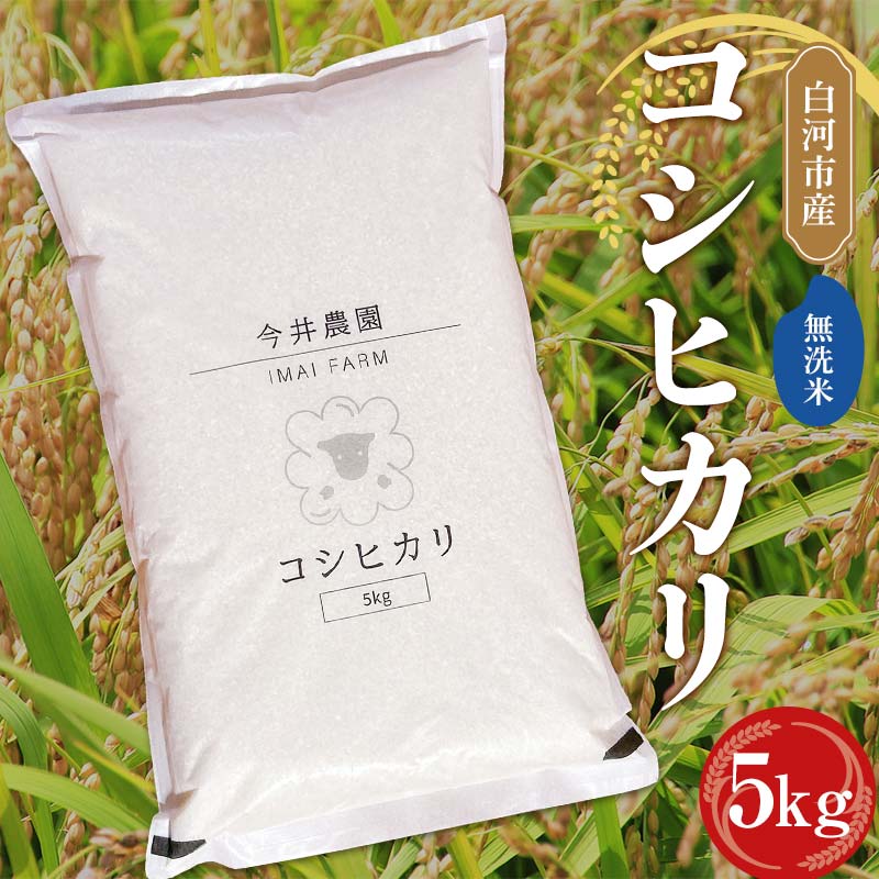 【無洗米】白河市産 コシヒカリ 5kg 米 コメ ごはん ご飯 食品  F24R-081