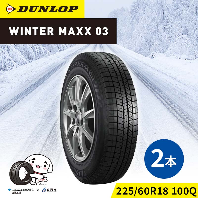 ダンロップタイヤスタッドレス　WINTER MAXX WM03 225/65R18 100Q 2本セット ダンロップ タイヤ 車 くるま クルマ SUV 福島県 白河市 ふるさと納税 F24R-170