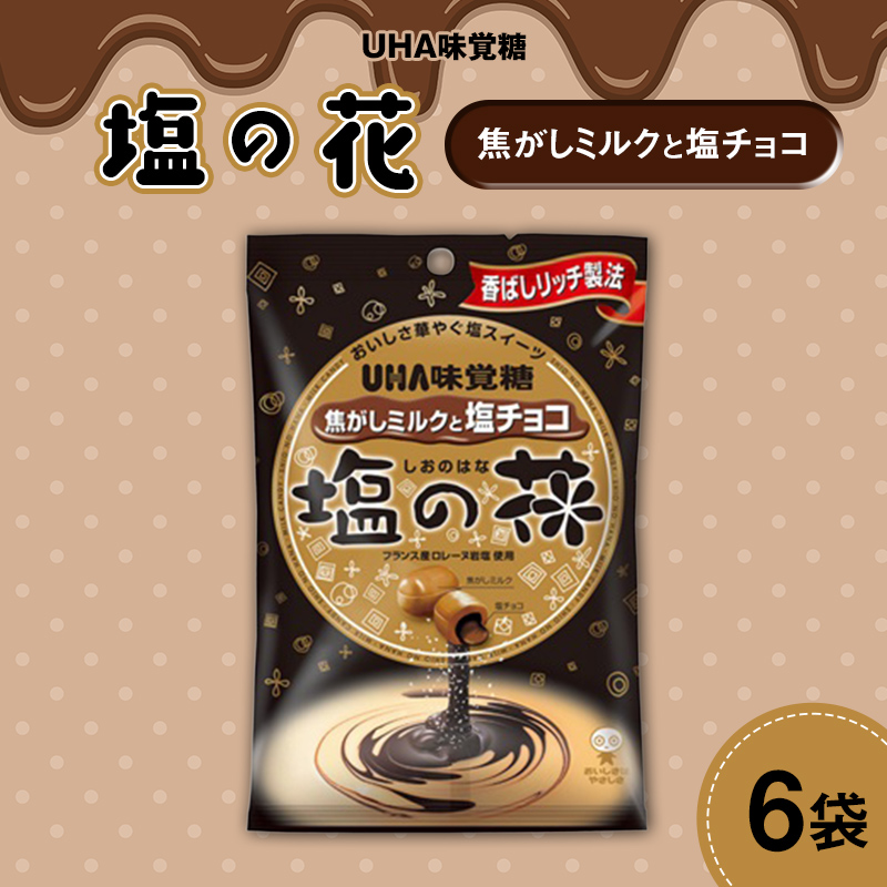 UHA味覚糖 塩の花 焦がしミルクと塩チョコ 6パック入り キャンディ お菓子 あめ アメ飴 菓子 食品 F24R-130