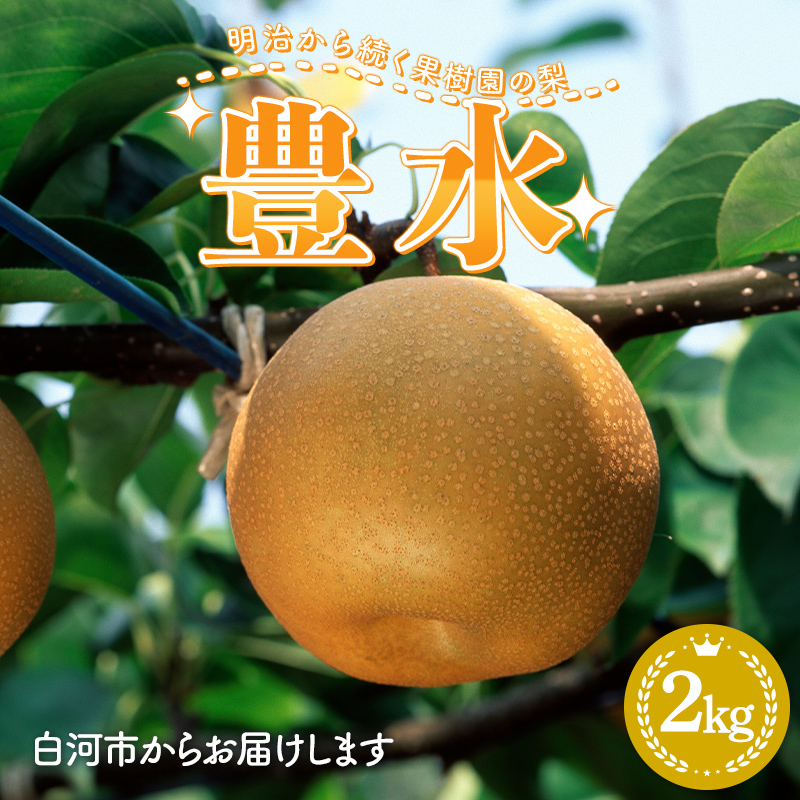 明治から続く果樹園の梨「豊水」2kg（5～7玉） なし 果物 くだもの デザート ギフト ナシ 甘い フルーツ 福島県 白河市 F23R-823