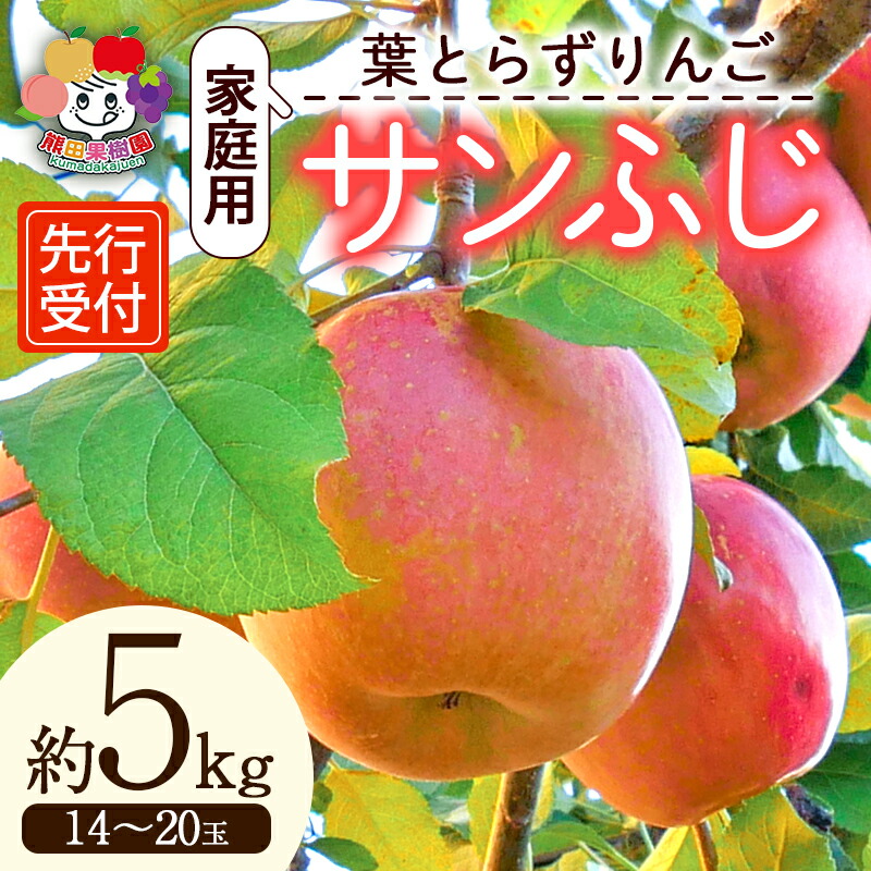 ＜先行予約＞家庭用 葉とらずりんご サンふじ 約5kg（14～20玉） F21R-879