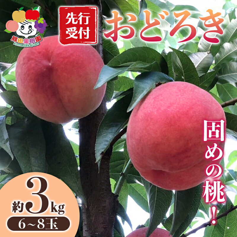 ＜先行予約＞固めの桃 おどろき 約3kg（6～8玉） F21R-880