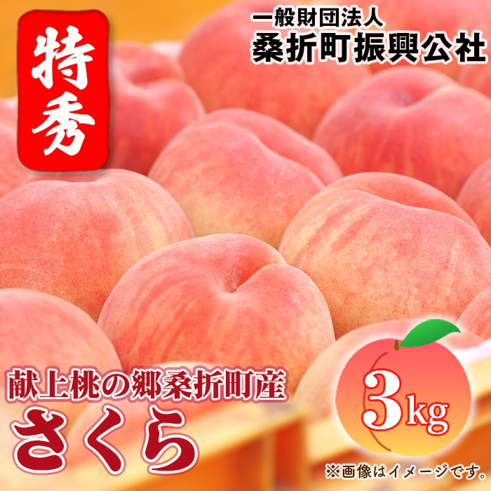 もも【さくら白桃・2026年産先行受付】特秀3kg(8~11玉)桑折町振興公社 桃