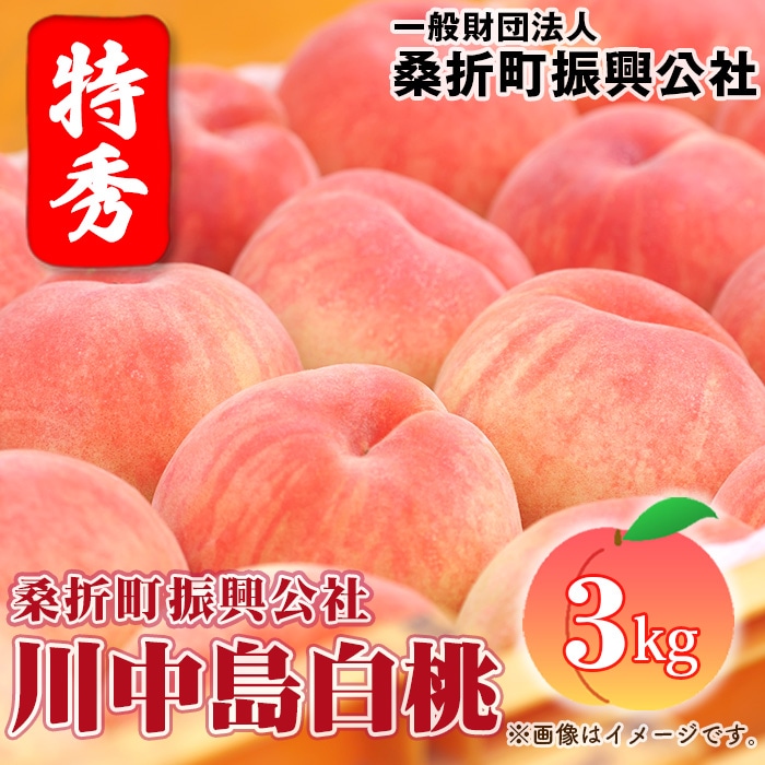 もも【川中島白桃・2026年産先行受付】特秀3kg(9~11玉)桑折町振興公社