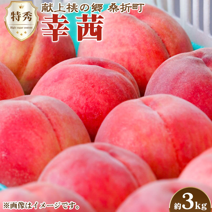 もも【幸茜・2026年産先行受付】特秀 3kg 桑折町産 JAふくしま未来 桃