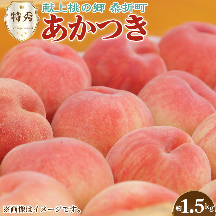 もも[あかつき・2026年産先行受付]特秀1.5kg「献上桃の郷ブランド品」桑折町産 JAふくしま未来 桃