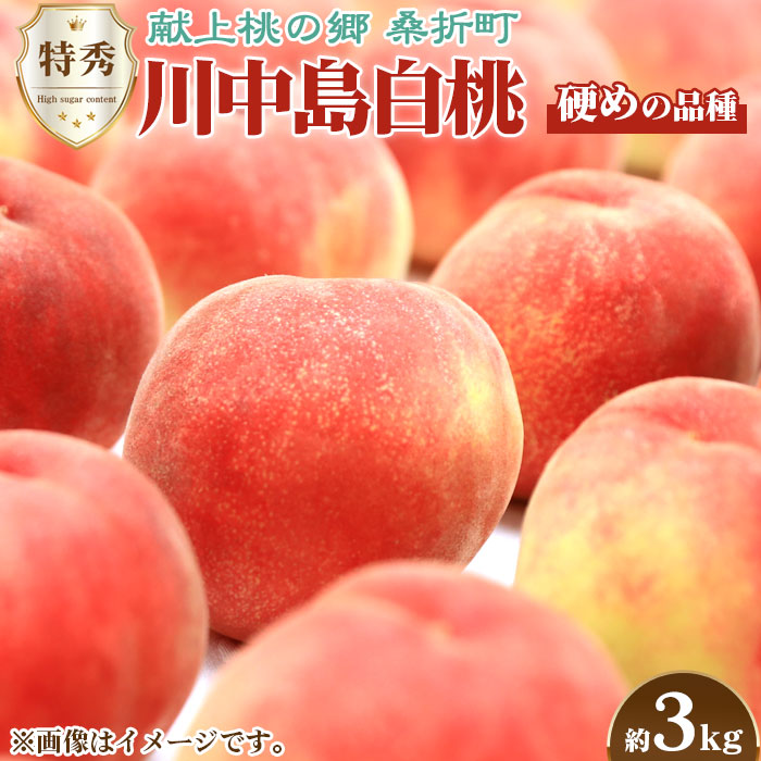 もも【川中島白桃・2026年産先行受付】特秀 3kg 桑折町産 JAふくしま未来 桃