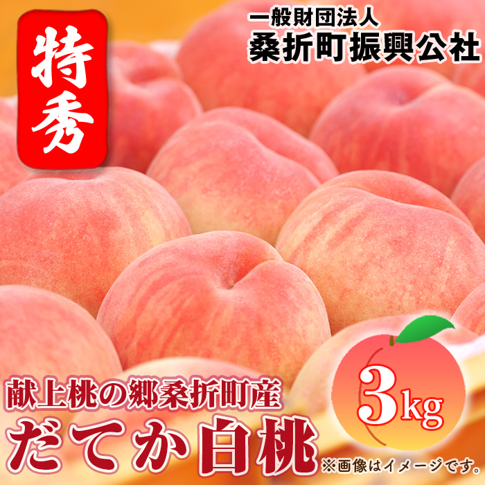 もも【だてか白桃・2026年産先行受付】特秀3kg(8~11玉)桑折町振興公社 桃
