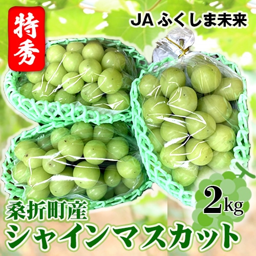 【令和8年9月頃発送】ぶどう(シャインマスカット)特秀2kg 桑折町産 JAふくしま未来 葡萄