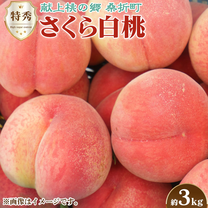 もも（さくら白桃）特秀　3kg　桑折町産　JAふくしま未来　桃