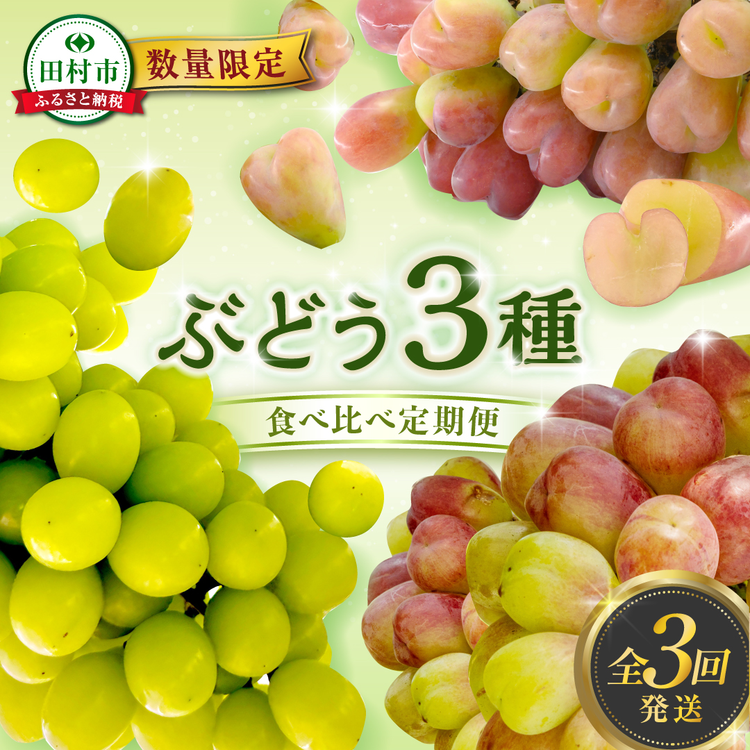 【先行予約 2025年発送】＼ぶどう3種食べくらべ定期便／ 3回発送 冷蔵 高級 種無し 種なし シャインマスカット ブドウ ぶどう 品種 果物 フルーツ 巨峰 美味しい 希少 人気 福島県 田村市 鈴木農園 N000-007