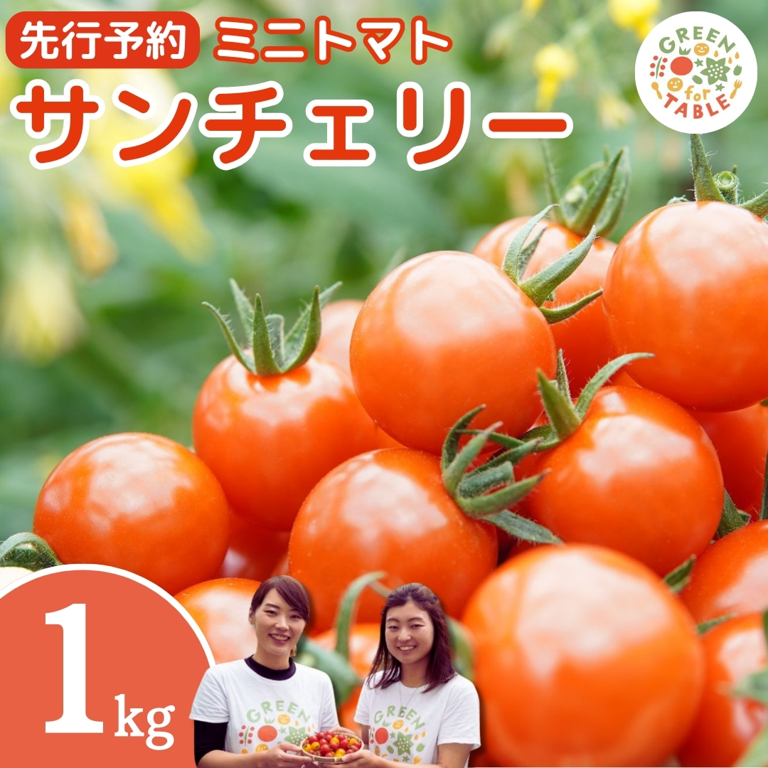 ミニトマト サンチェリー 1kg 7月発送 トマト 新鮮 野菜 農家直送 1キロ 人気 おすすめ ギフト 贈答 プレゼント 福島県 田村市 田村 GREEN for TABLE N047-001