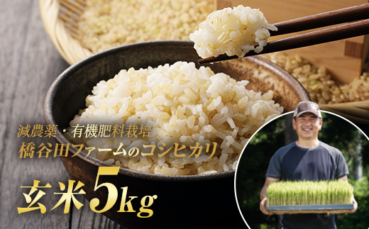 令和7年産 減農薬・有機肥料栽培コシヒカリ 玄米 5kg F4D-1776