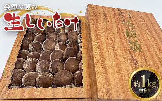 《数量限定》 2025年秋発送!贈答用 会津の恵み 生しいたけ1kg F4D-0711