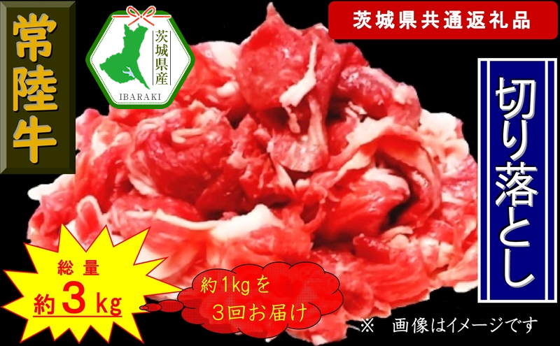 【3か月定期便】【常陸牛】切り落とし 約1kg【定期便】計3回 総量約3kg(茨城県共通返礼品)【常陸牛 茨城県産 日立市】