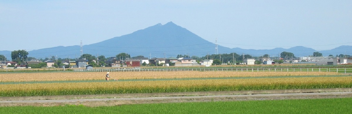 茨城県結城市の返礼品や地域・問合せ情報 | JRE MALLふるさと納税