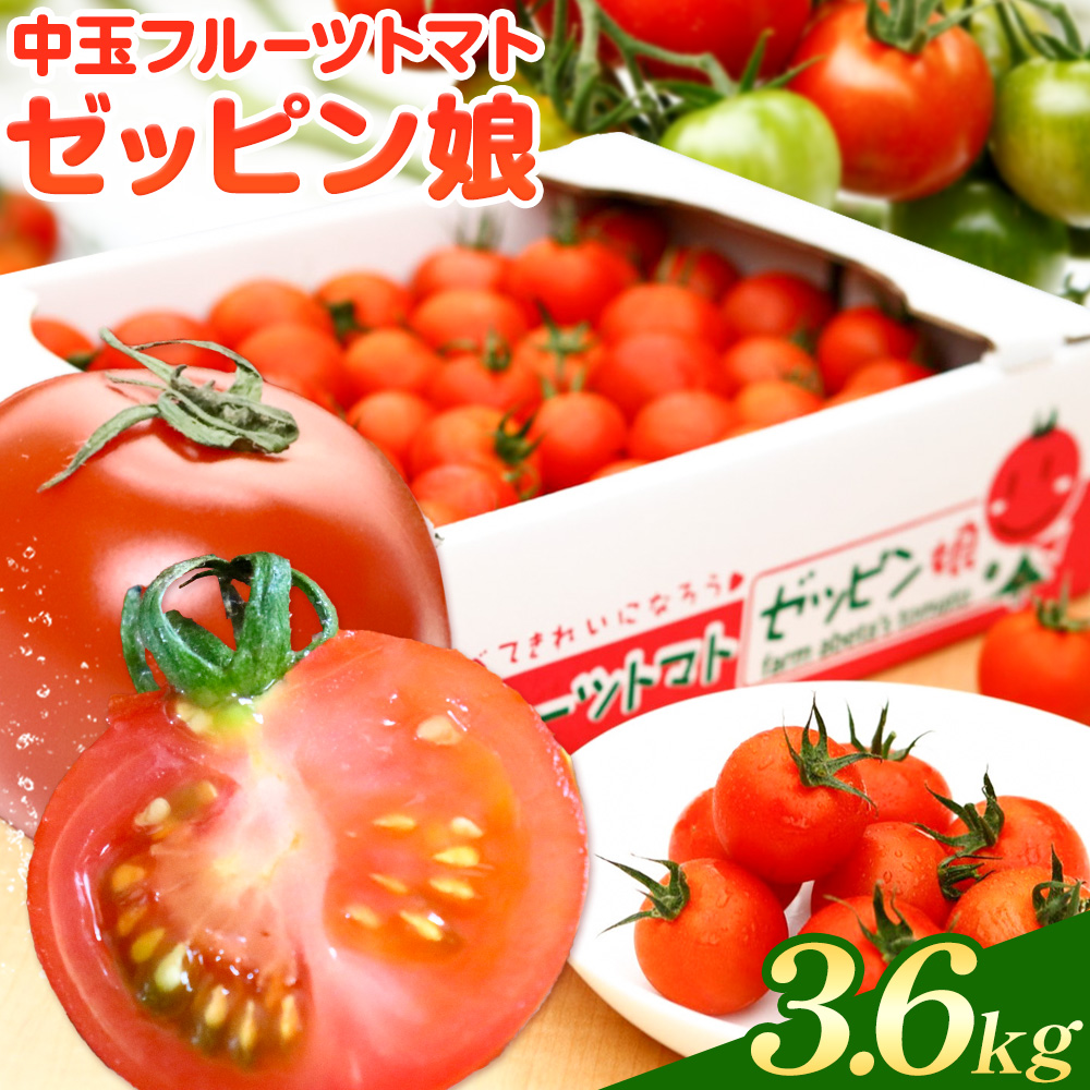 中玉フルーツトマト ゼッピン娘 1.8kg ×2箱 計3.6kg 希少な品種 華おとめ 甘い 野菜 結城市産 ゼッピン娘 華おとめ 中玉品種 皮が薄い 薄皮 サラダ 前菜 食材 料理《10月中旬~5月末頃出荷》---yuki_fab_3_3600g---