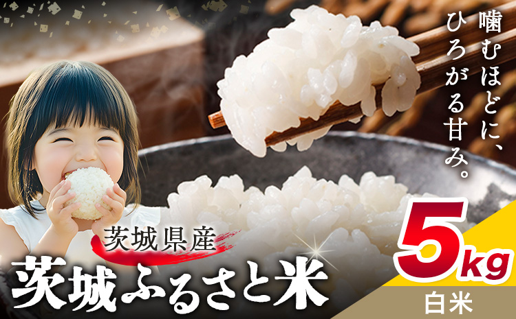 米 茨城 ふるさと米 白米 5kg 5kg×1袋[10月下旬-11月末頃出荷]茨城県 結城市 米 国産 お米 おこめ お弁当 おにぎり[茨城県共通返礼品]---yuki_local_19_5kg---