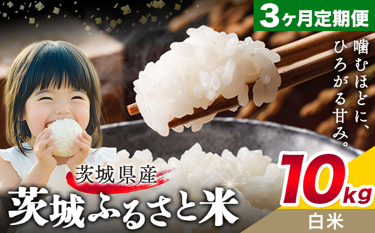 米 茨城 ふるさと米 白米 10kg 5kg×2袋 3回お届け 定期便《お申し込み月の翌々月から出荷開始》茨城県 結城市 米 国産 お米 おこめ お弁当 おにぎり---yuki_local_24_10kg3tei---【茨城県共通返礼品】