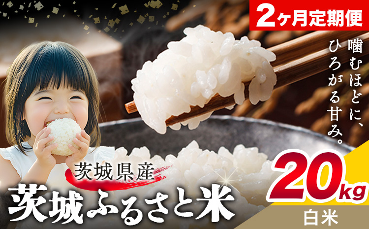 米 茨城 ふるさと米 白米 20kg 5kg×4袋 2回お届け 定期便《お申し込み月の翌々月から出荷開始》茨城県 結城市 米 国産 お米 おこめ お弁当 おにぎり---yuki_local_29_20kg2tei---【茨城県共通返礼品】