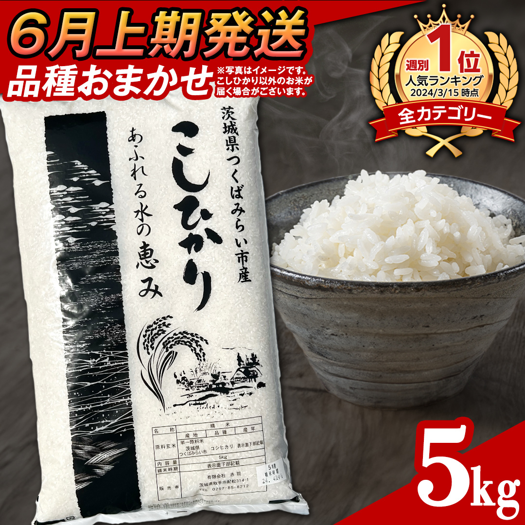 [ 6月上期発送 / 数量限定 ]茨城県つくばみらい市産 精米 5kg (品種おまかせ) 令和6年産 こしひかり 米 コメ こめ 単一米 限定 茨城県産 国産 美味しい お米 おこめ おコメ
