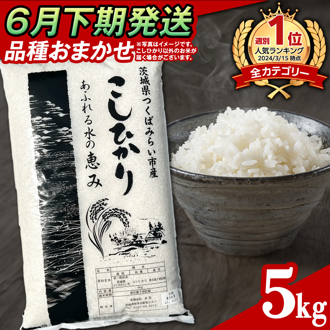 【祝開店！大放出セール開催中】 24年度コシヒカリ讃岐米15キロ白米 U.S., Millet And Flour
