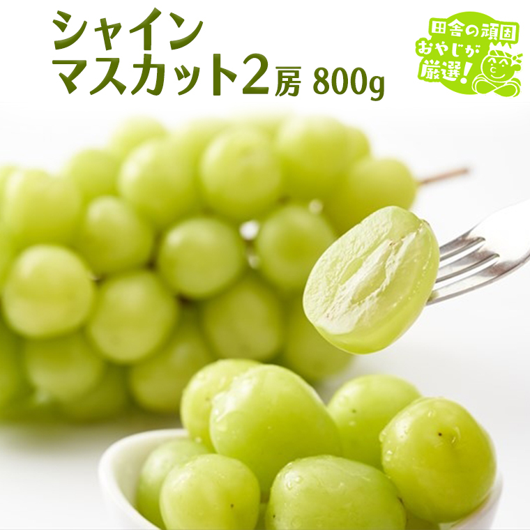 シャインマスカット 800g 2房 【9月より発送開始】田舎の頑固おやじが厳選！ マスカット 種なし ギフト 高糖度 大粒 ぶどう 甘い 美味しい フルーツ [BI291-NT]