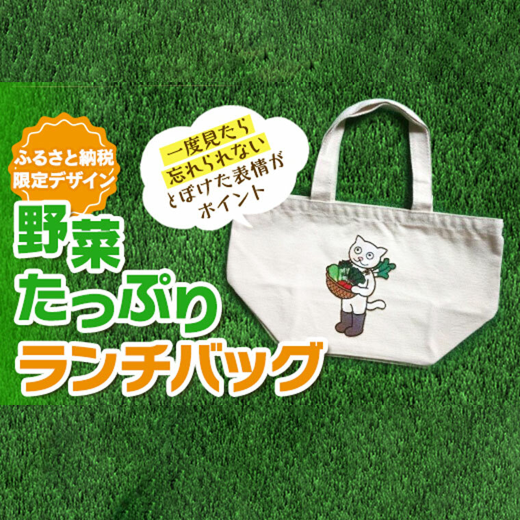 野菜たっぷりランチバッグ [AE11-NT]