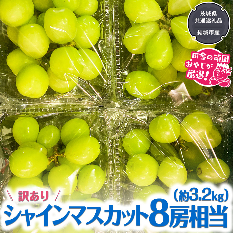 【 訳あり 】 シャインマスカット 8房相当（約3.2kg） 【2025年9月より発送開始】 田舎の頑固おやじが厳選！（茨城県共通返礼品 [ぶどう]：結城市産） 果物 フルーツ 不揃い わけあり 先行予約 家庭用 フルーツ ブドウ 果物 ぶどう シャイン マスカット くだもの 先行予約 [BI209-NT]