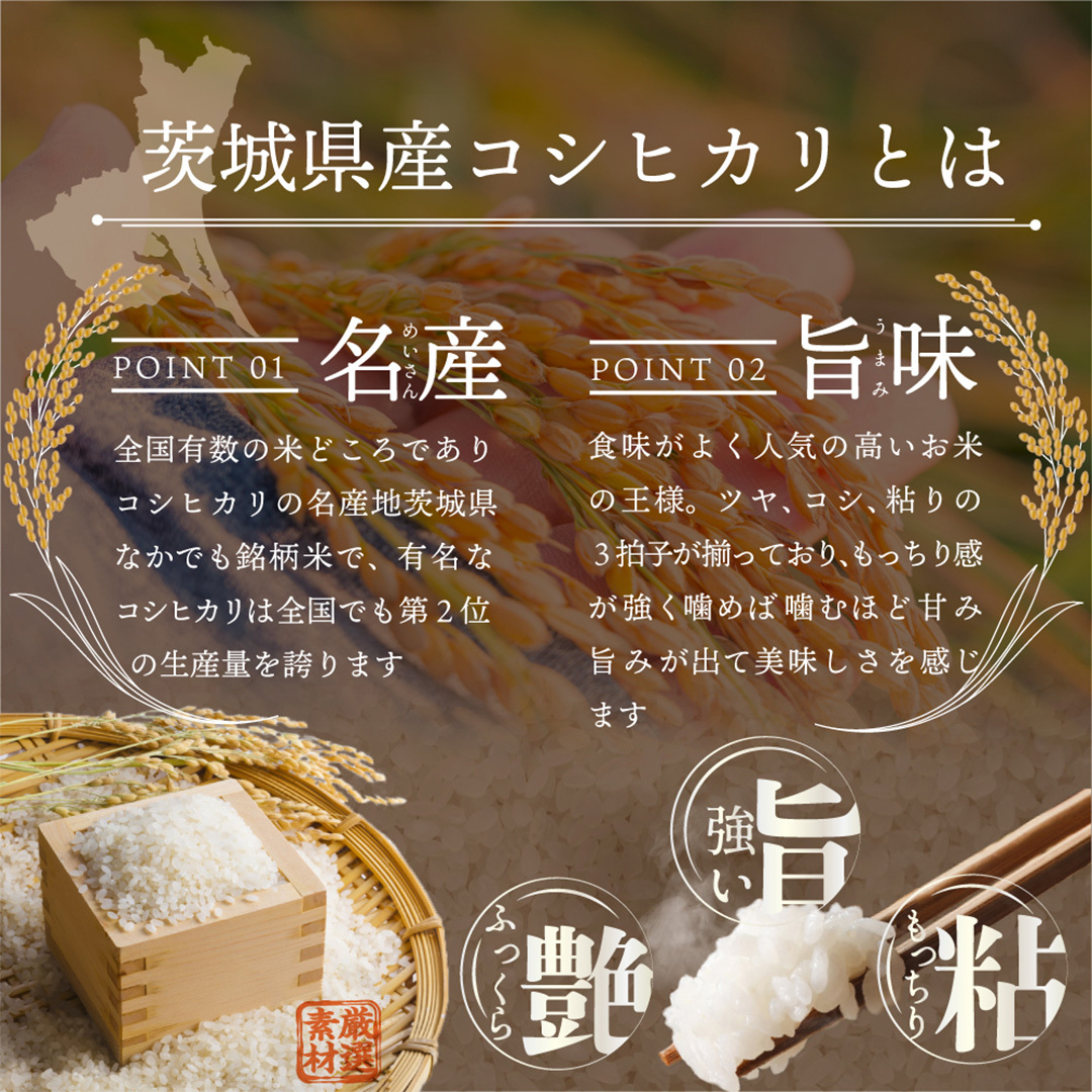 新米 令和６年産 ／【 お試しサイズ 】 茨城県産 コシヒカリ 300g (300g×1袋) お試し ♪ 2合 五つ星お米マイスター監修 寄附額  1000円 ポッキリ 米 精米 茨城 お米 おこめ ごはん 白米 米 茨城産 こしひかり[DW01-NT] | 茨城県つくばみらい市 | JRE  MALLふるさと納税