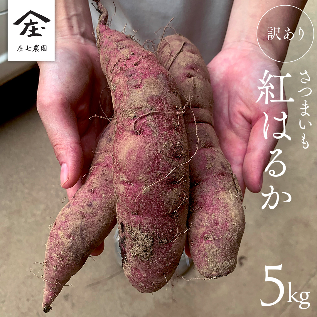 【 訳あり 】 さつまいも ！ 紅はるか 5kg サツマイモ 芋 いも べにはるか 茨城 美味しい おいしい ワケアリ 訳アリ 規格外 不揃い [BK09-NT]