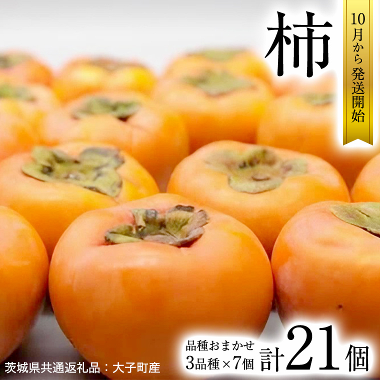 柿　3品種 食べ比べ 各7個ずつ【10月中旬より発送開始】（茨城県共通返礼品：大子町産） 果物 フルーツ 茨城県産 [BI456-NT]