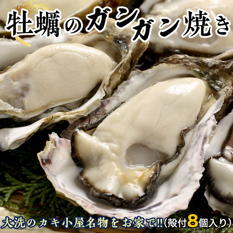 牡蠣 ガンガン焼き セット 殻付カキ 8個 冷凍 簡単調理 魚介類 カキ ...