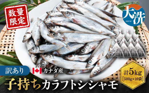 【数量限定】 子持ち カラフトシシャモ 5kg （500g ×10袋） 訳あり シシャモ カラフトししゃも 大洗 規格外 訳アリ わけあり 傷