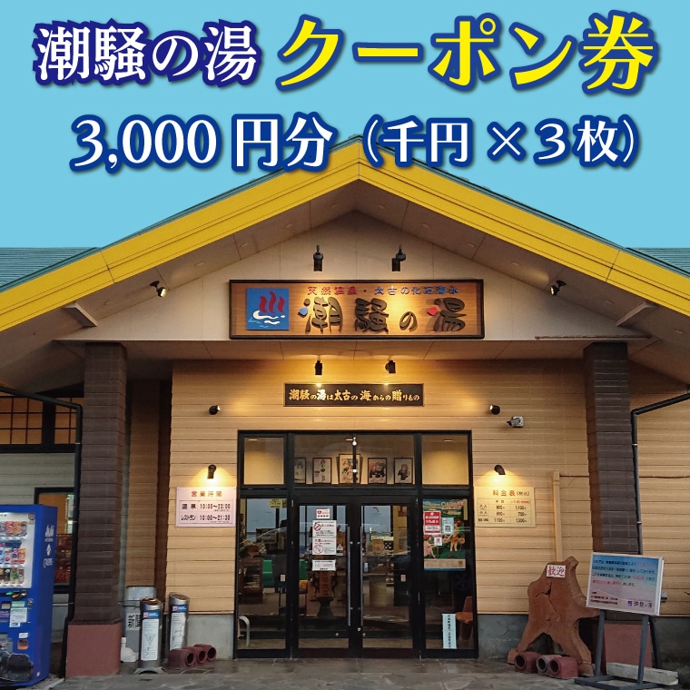 天然温泉 潮騒の湯 クーポン券 3000円分(1000円×3枚) 露店風呂 サウナ おんせん 大洗サンビーチ 海鮮 魚介 食事 宿泊 チケット 利用券 アウトドア 旅行