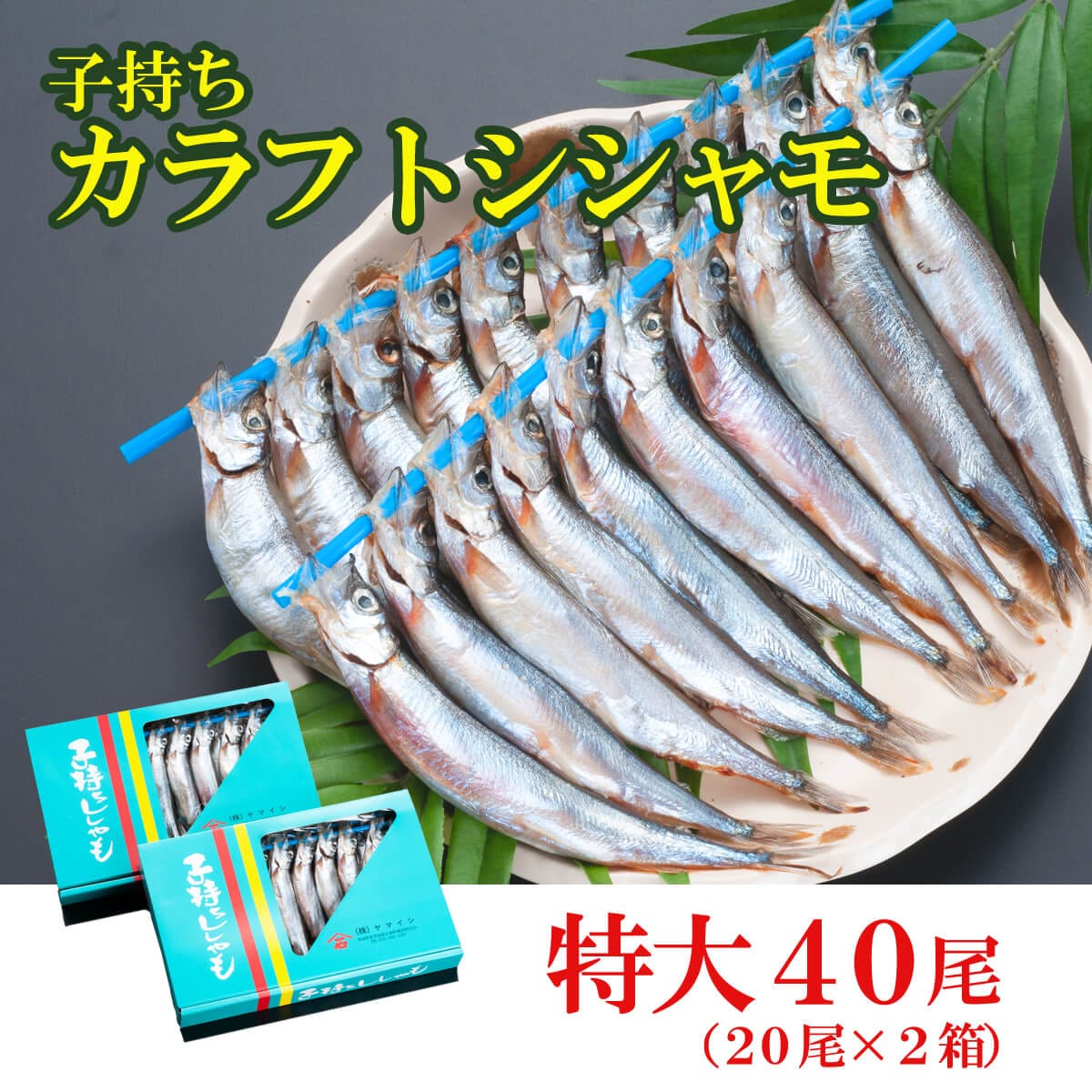 ししゃも 子持ち カラフトシシャモ 特大 40尾(20尾×2箱) 子持ちシシャモ カラフトししゃも 大洗