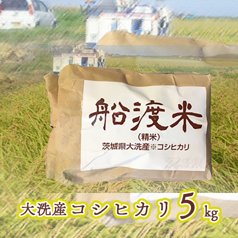 令和7年産 米 コシヒカリ 5kg 舟渡米 茨城 大洗 国産 白米 精米