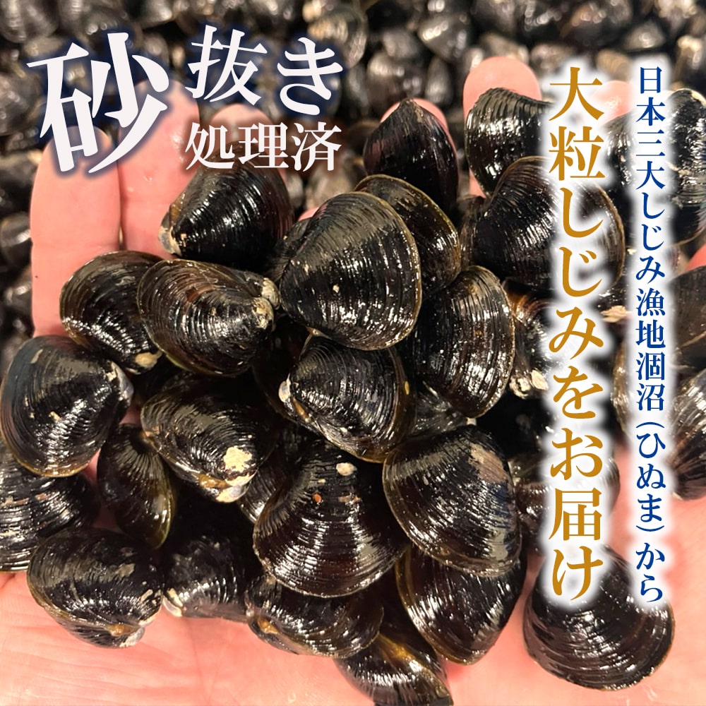 涸沼産 大粒 冷凍 シジミ 3.2kg （400g×8袋） しじみ 蜆 大和