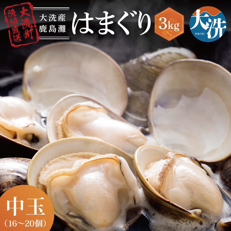 大洗産鹿島灘天然はまぐり 3kg 冷蔵 お吸い物 ハマグリ 蛤 貝 砂抜き処理 魚介類 大洗産
