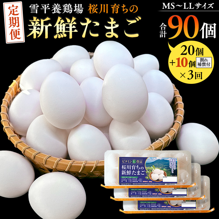 【3回定期便】 雪平養鶏場 桜川育ちの 新鮮 たまご 合計30個(20個+10個割れ補償付) ×3回 たまごかけご飯 玉子 生卵 鶏卵 TKG