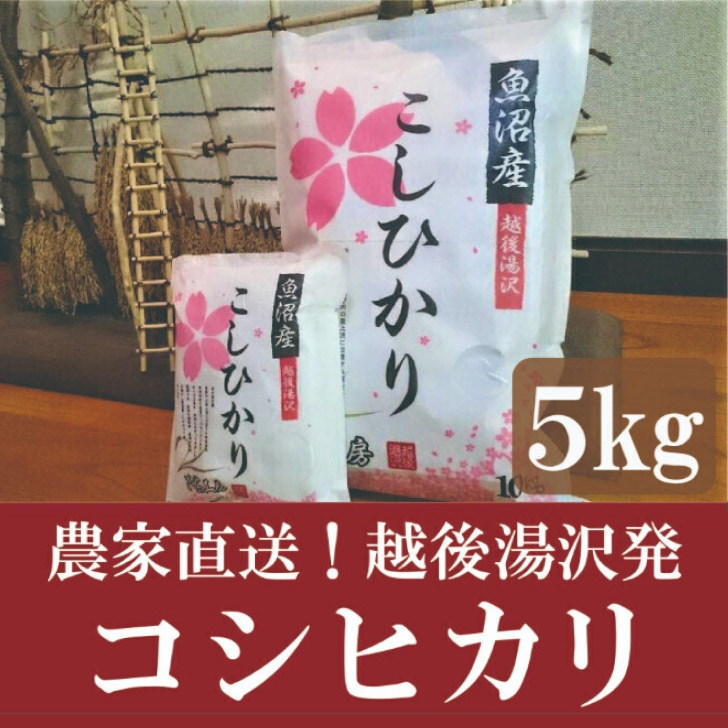 令和7年産 白米5kg 農家直送！越後湯沢発 さくらファーム 南魚沼最上流域【湯沢産コシヒカリ】
