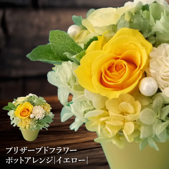 プリザーブドフラワー　ポットアレンジ（イエロー）【140014】