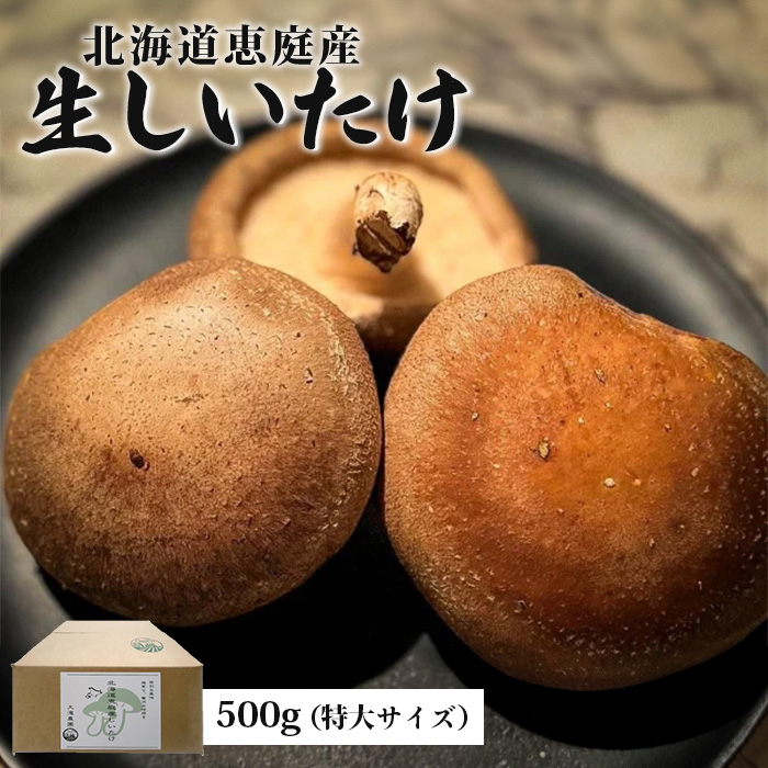 [数量限定]北海道恵庭産生しいたけ500g(特大サイズ)[800003]