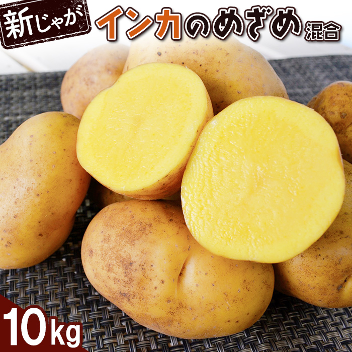 【新じゃが】インカのめざめ混合10kg【83000802】