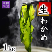 [期間限定]北三陸産 早どりわかめ 約1kg ワカメ わかめしゃぶしゃぶ