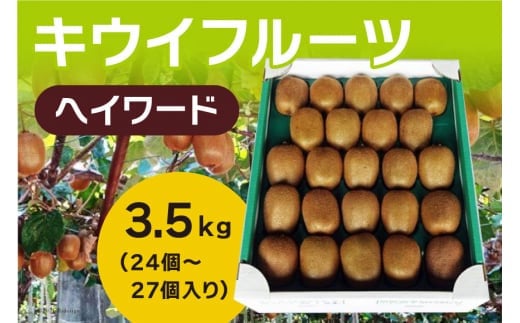【2025年発送】 キウイフルーツ ヘイワード 約3.5kg [JAふえふき 山梨県 中央市21470169] キウイ 3.5キロ フルーツ 果物 くだもの 食物繊維 季節限定 期間限定 数量限定 山梨 山梨県産