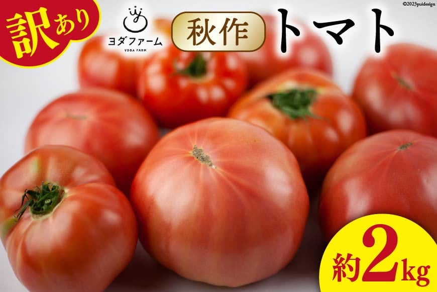 【2025年発送】 秋作 訳あり 桃太郎トマト 2kg [ヨダファーム 山梨県 中央市 21470979] 規格外 家庭用 不揃い トマト とまと 野菜 やさい 2キロ 季節限定 期間限定 産地直送 山梨県産 訳アリ tomato