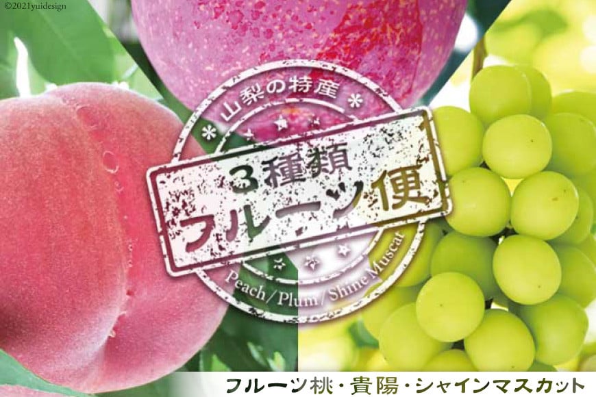山梨の特産 3種類フルーツ便 桃 約1.8kg 貴陽 約1.5kg シャインマスカット 約1.8kg [築宝 山梨県 中央市 21470735] モモ 桃 もも マスカット フルーツ 果物  旬の果物 季節限定 冷蔵【2025年6月下旬-10月上旬発送予定】